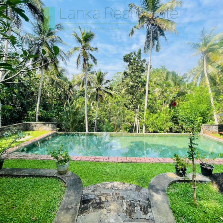 Heritage house with pool and two cottages