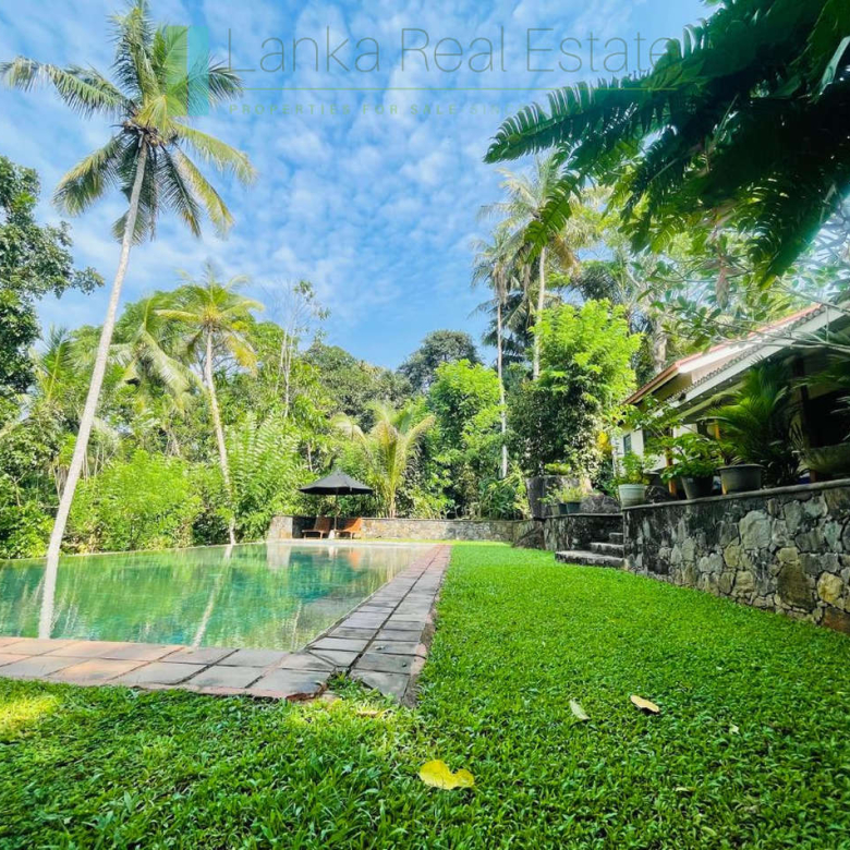 Heritage house with pool and two cottages