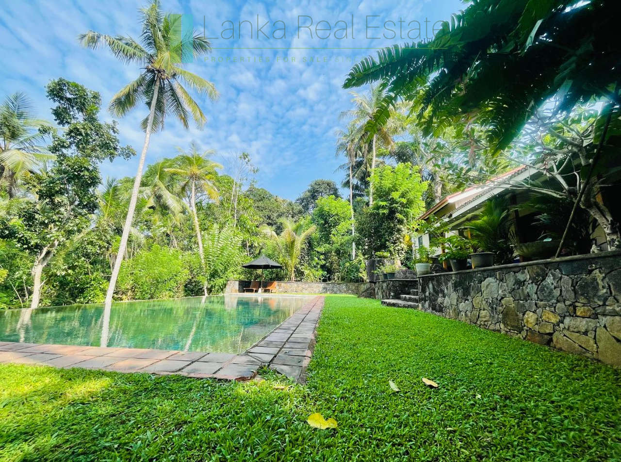 Heritage house with pool and two cottages