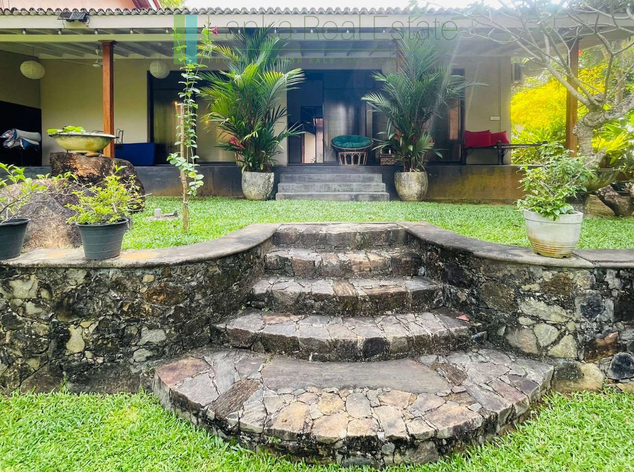 Heritage house with pool and two cottages