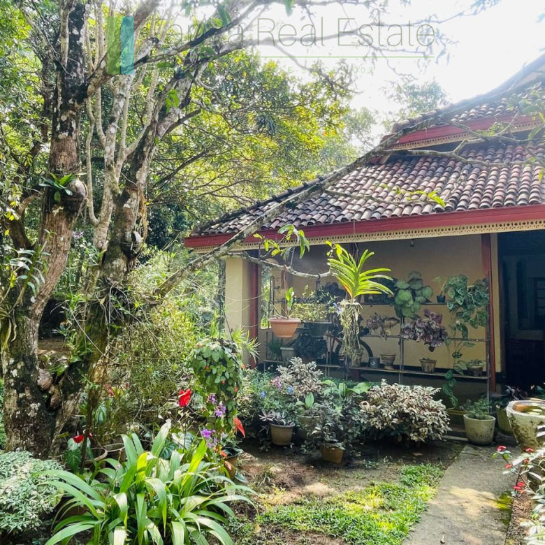 Heritage house with pool and two cottages