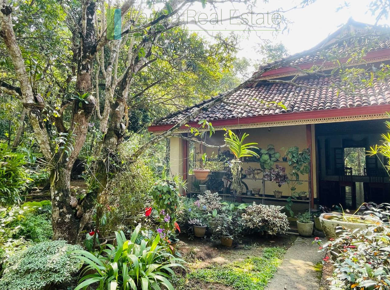 Heritage house with pool and two cottages