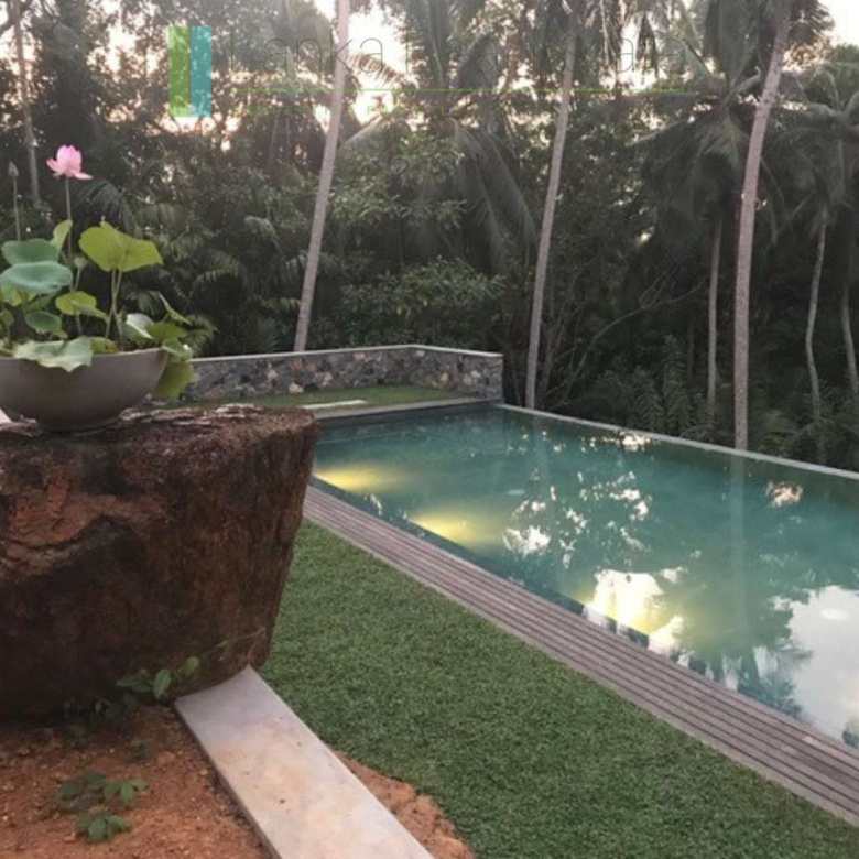 Heritage house with pool and two cottages