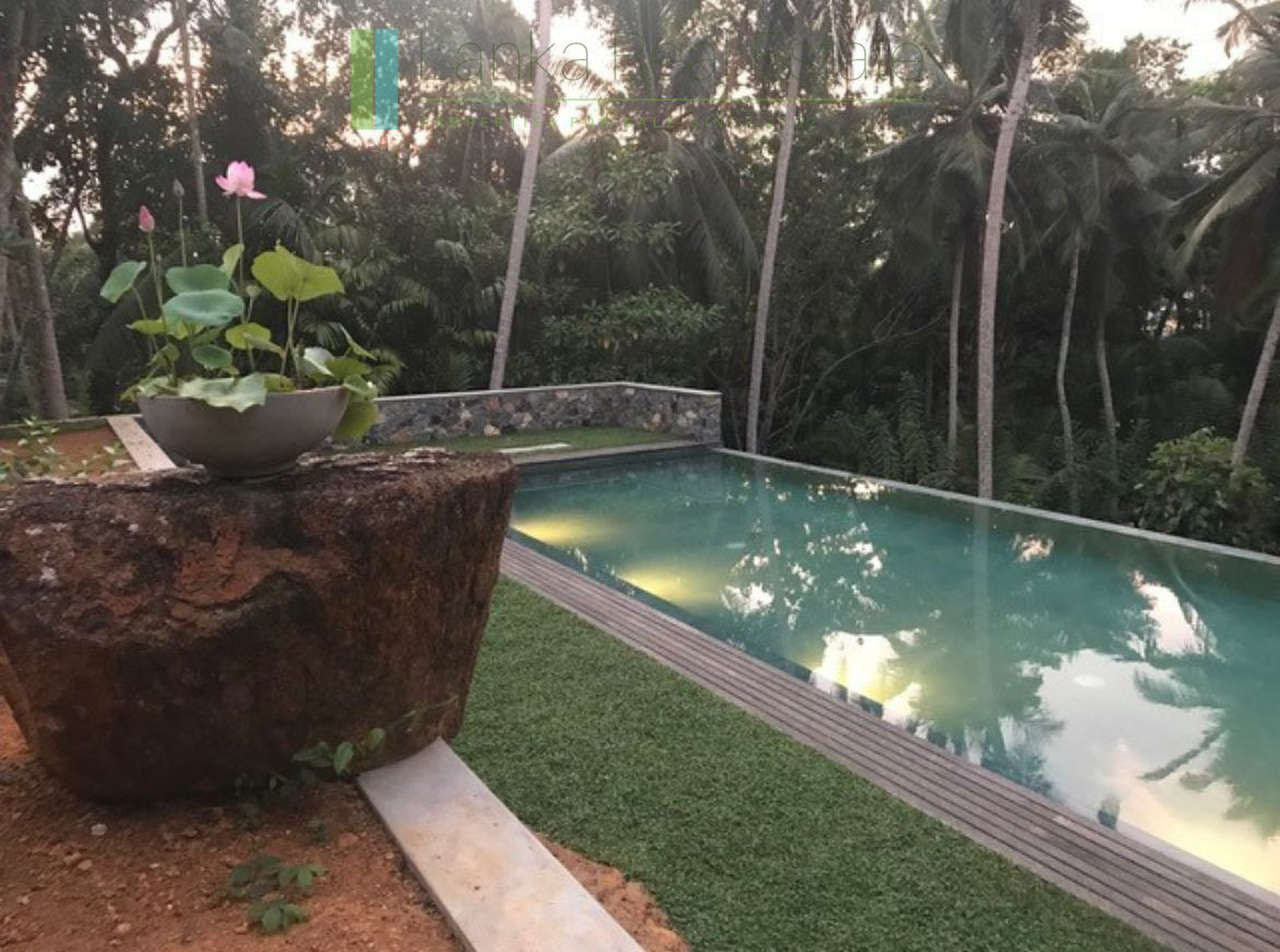 Heritage house with pool and two cottages