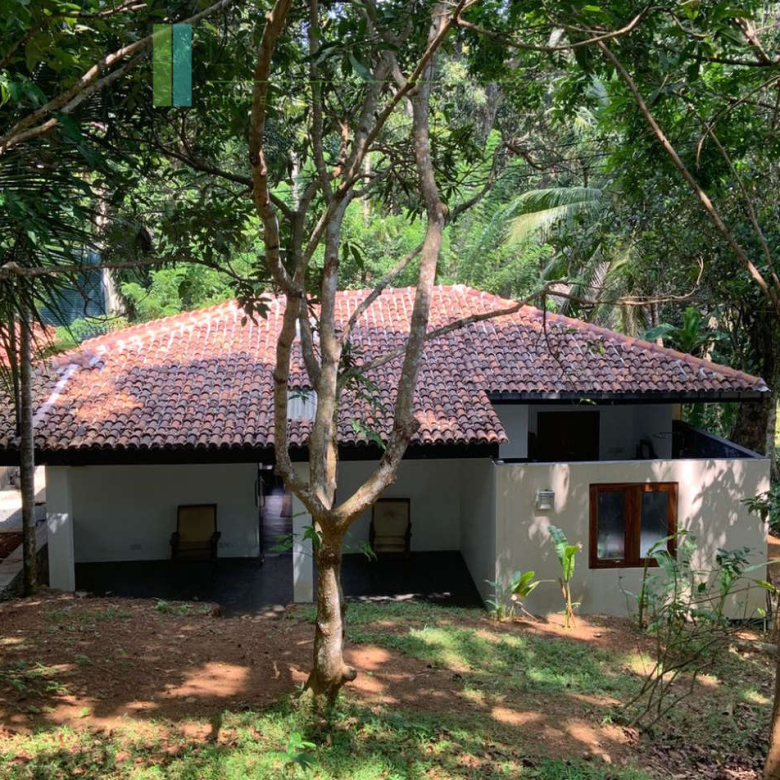 Heritage house with pool and two cottages