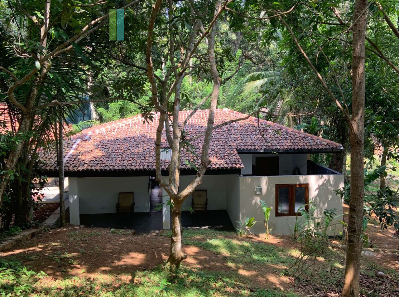 Heritage house with pool and two cottages