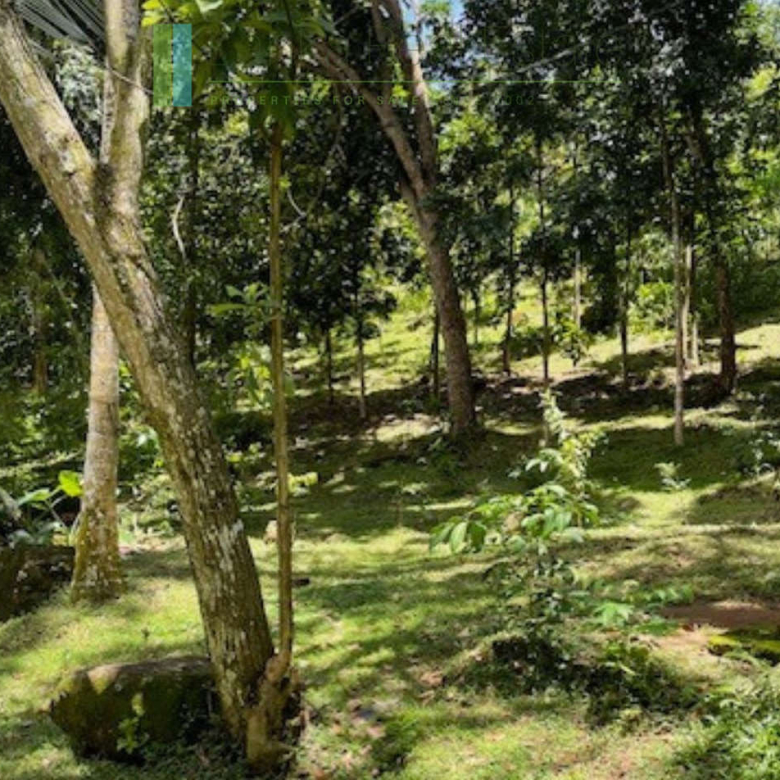 Substantial elevated development plot in desirable location