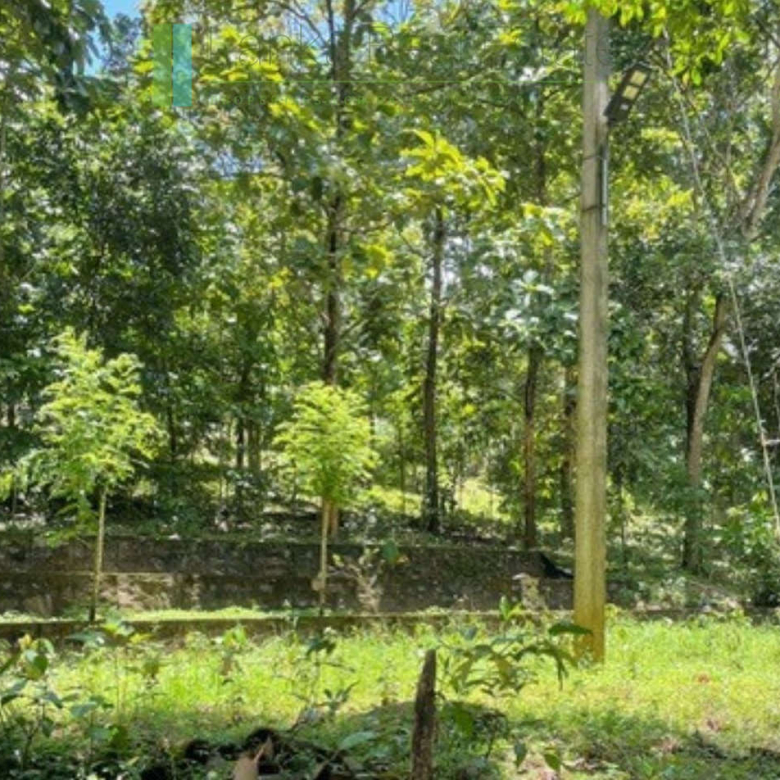 Substantial elevated development plot in desirable location