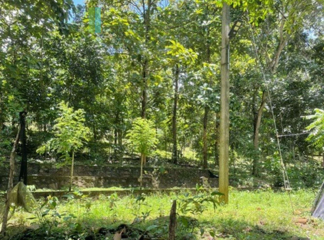 Substantial elevated development plot in desirable location