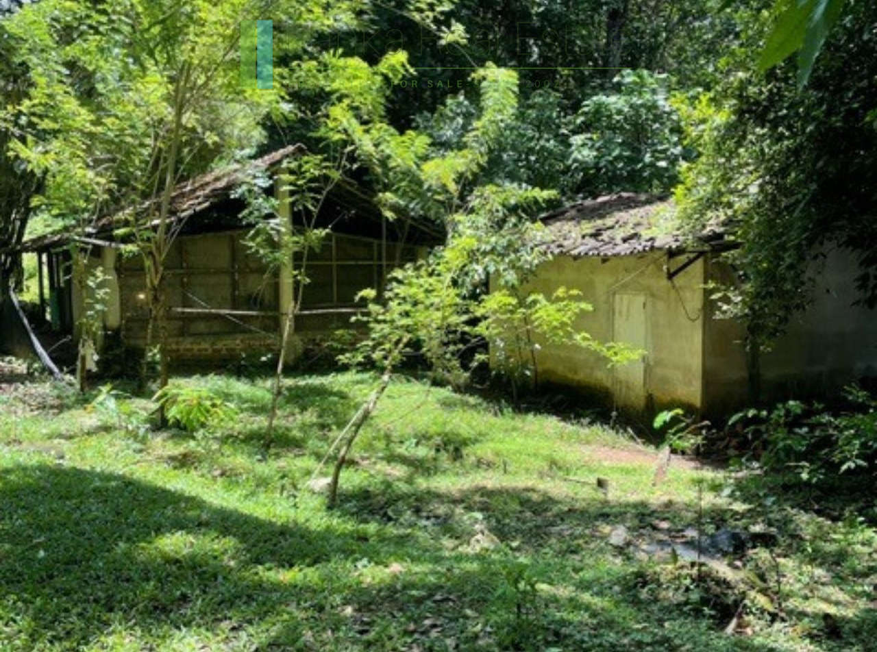 Substantial elevated development plot in desirable location