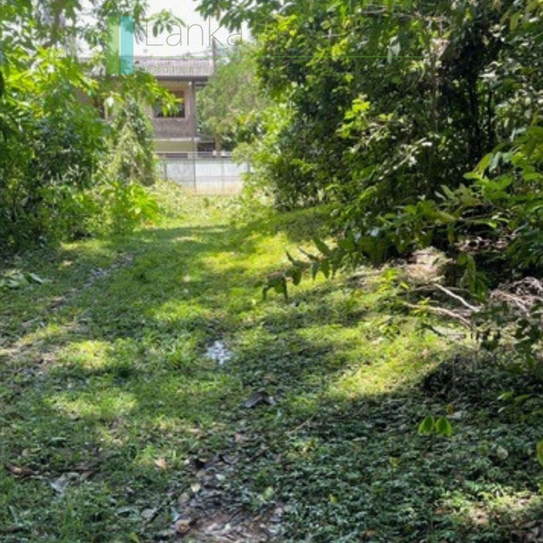Substantial elevated development plot in desirable location