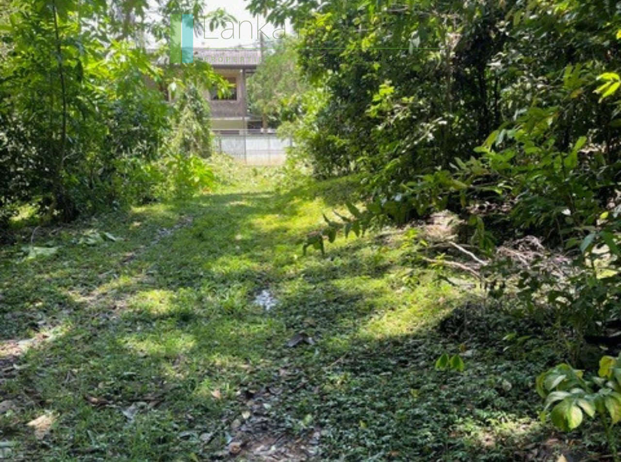 Substantial elevated development plot in desirable location