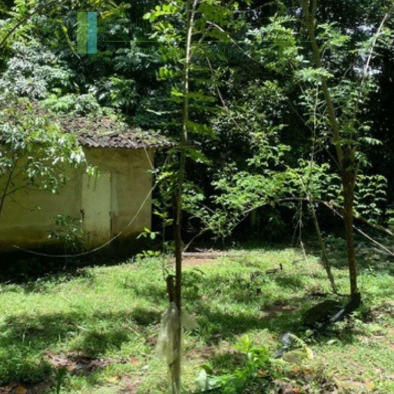 Substantial elevated development plot in desirable location
