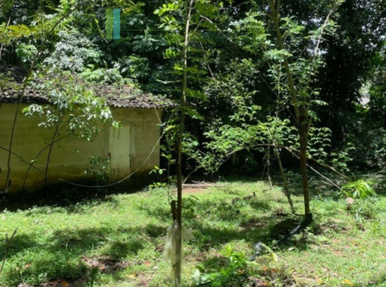 Substantial elevated development plot in desirable location