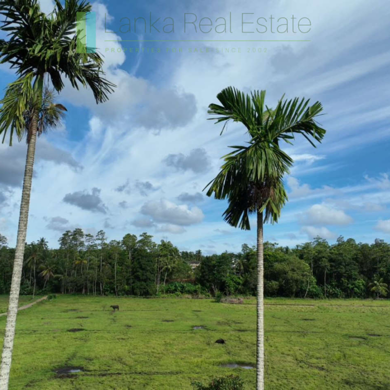 Three acre paddy-view Ahangama