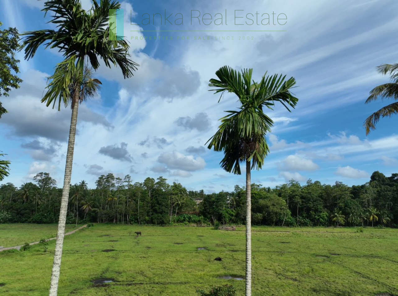 Three acre paddy-view Ahangama