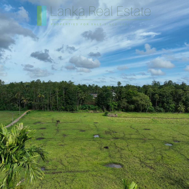 Three acre paddy-view Ahangama