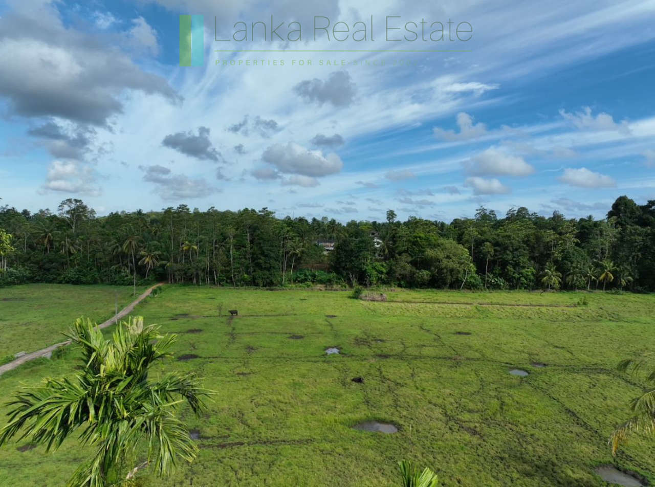 Three acre paddy-view Ahangama