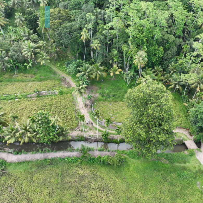 Three acre paddy-view Ahangama