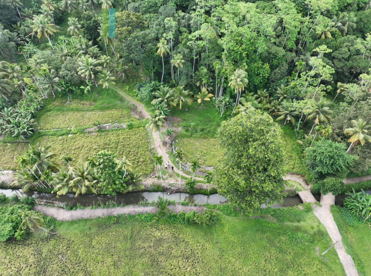 Three acre paddy-view Ahangama