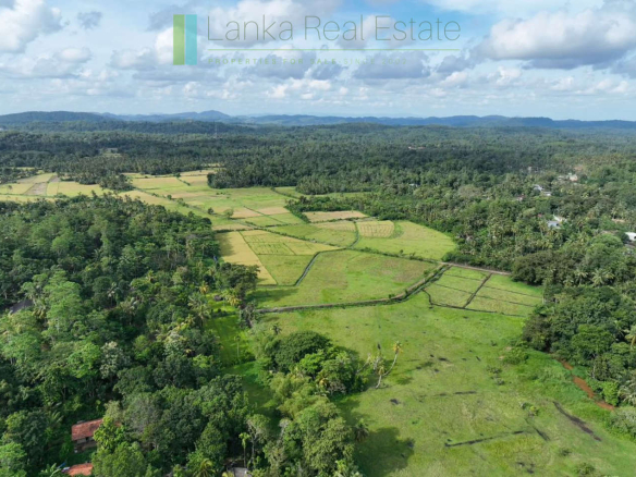 Three acre paddy-view Ahangama