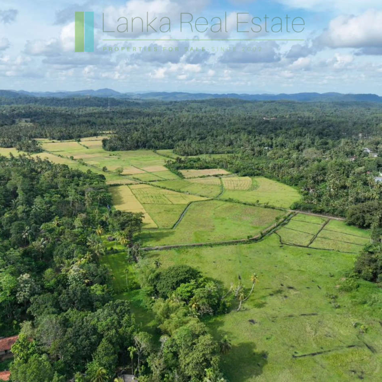 Three acre paddy-view Ahangama