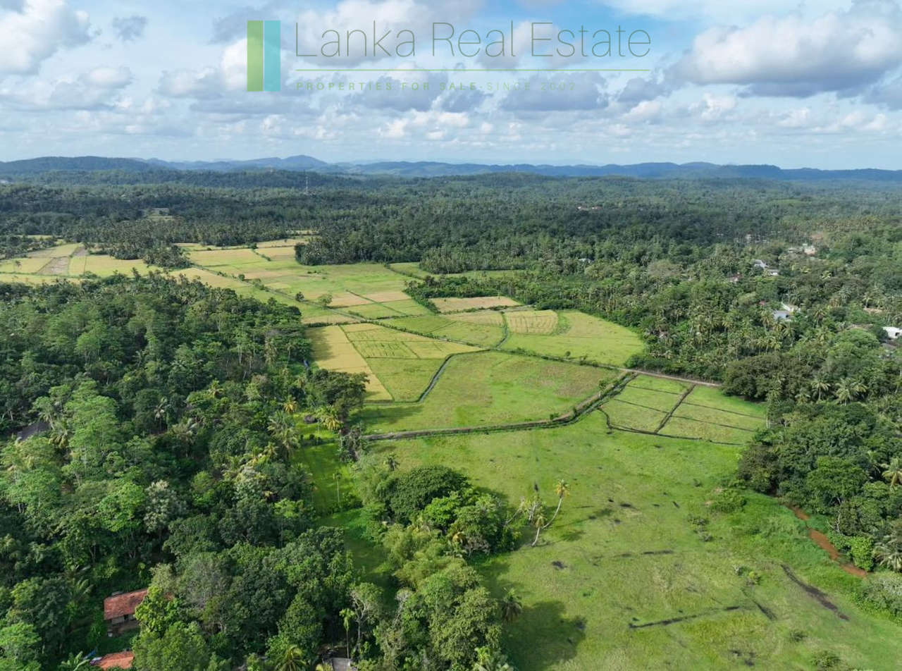 Three acre paddy-view Ahangama