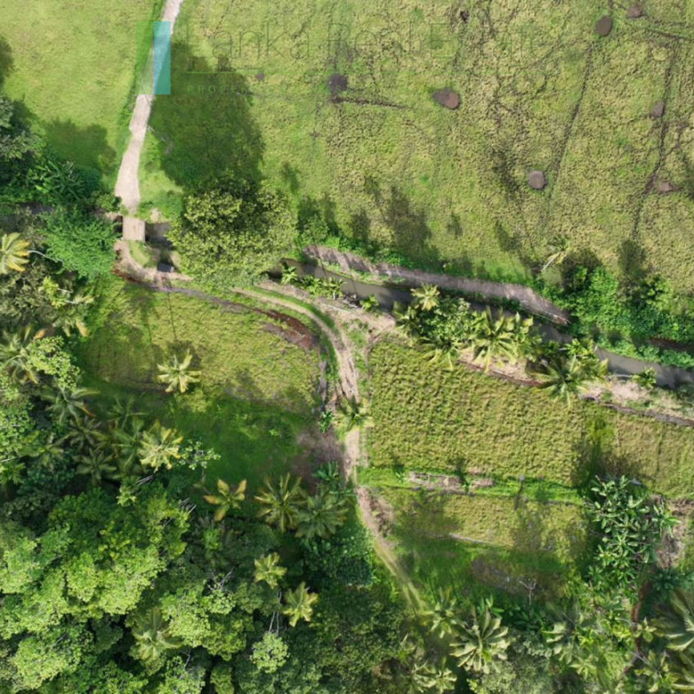 Three acre paddy-view Ahangama