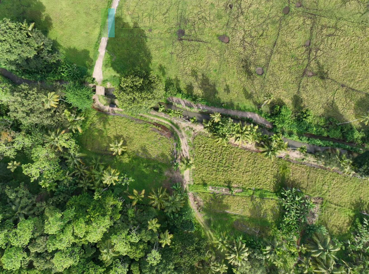 Three acre paddy-view Ahangama
