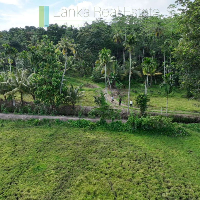 Three acre paddy-view Ahangama
