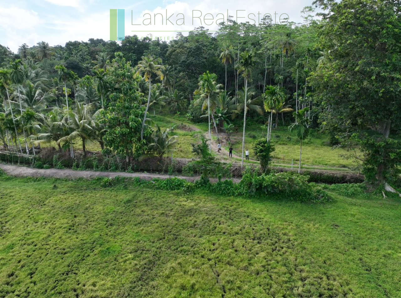 Three acre paddy-view Ahangama