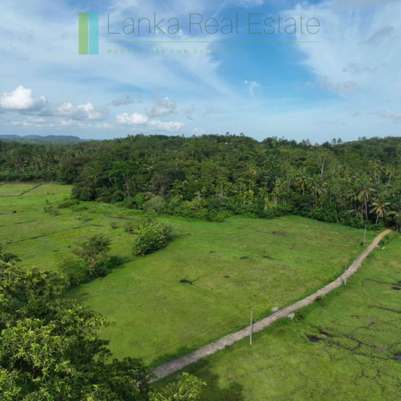 Three acre paddy-view Ahangama
