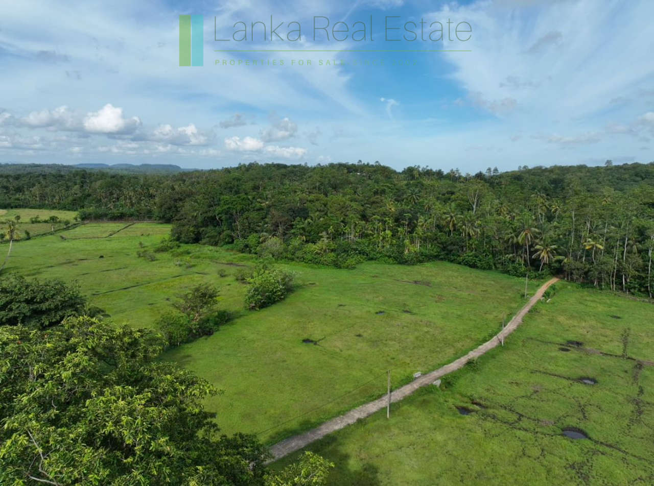 Three acre paddy-view Ahangama