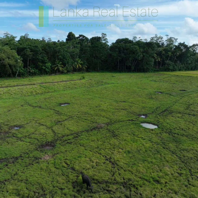 Three acre paddy-view Ahangama