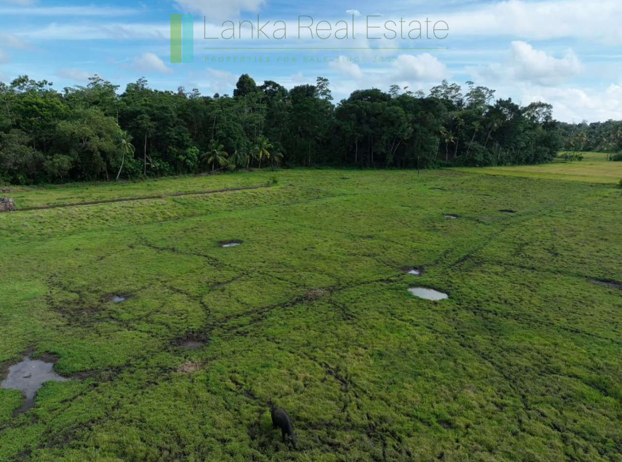 Three acre paddy-view Ahangama