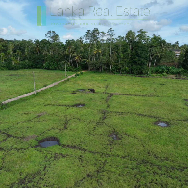 Three acre paddy-view Ahangama