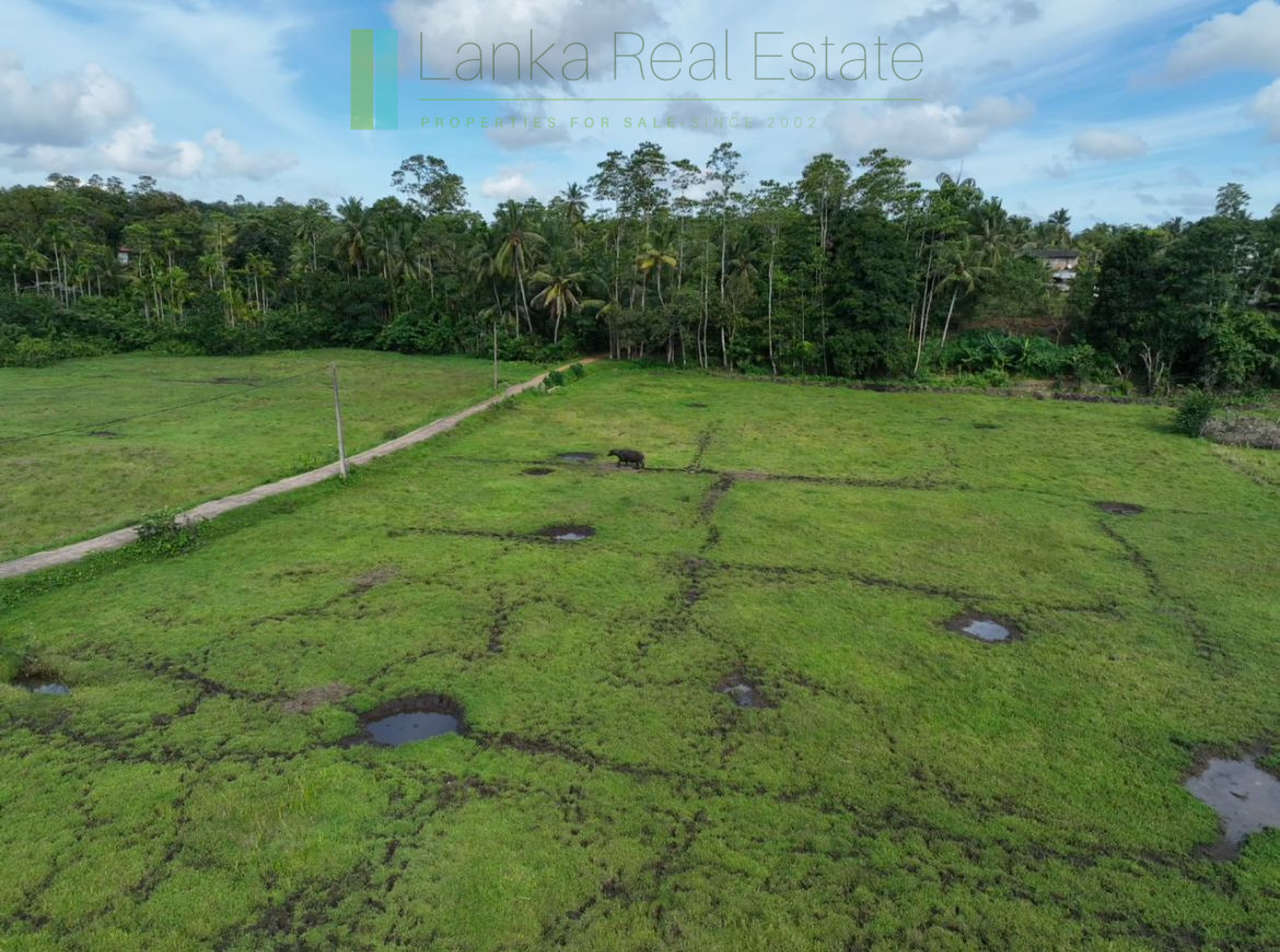 Three acre paddy-view Ahangama