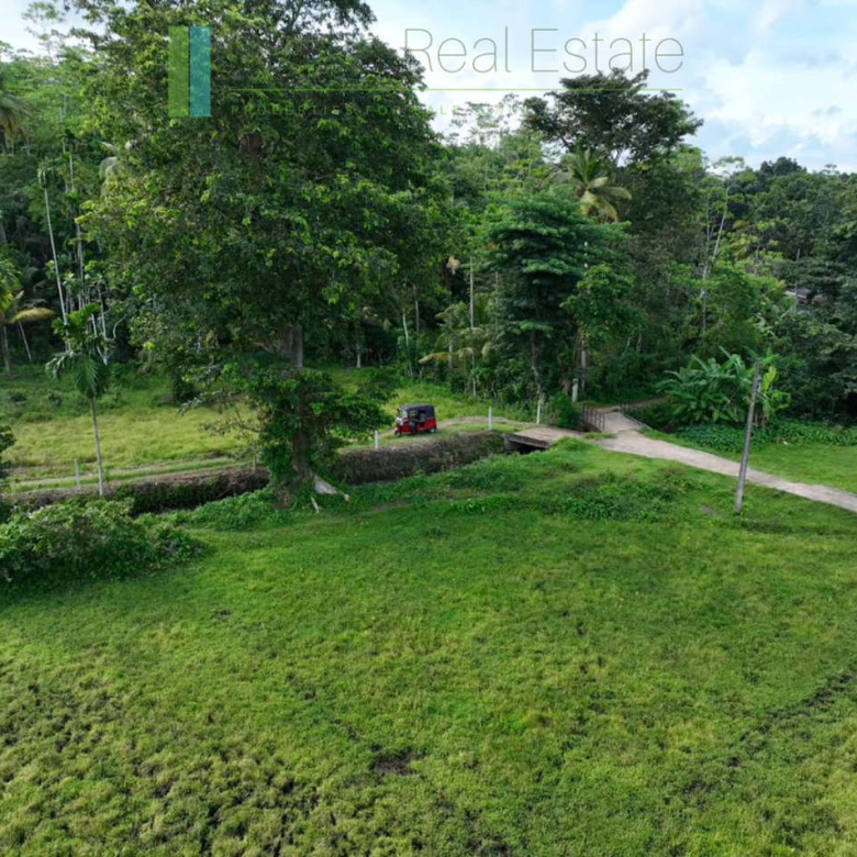 Three acre paddy-view Ahangama