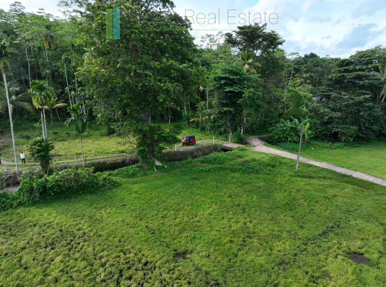 Three acre paddy-view Ahangama