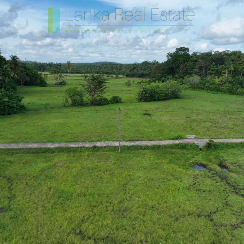 Three acre paddy-view Ahangama