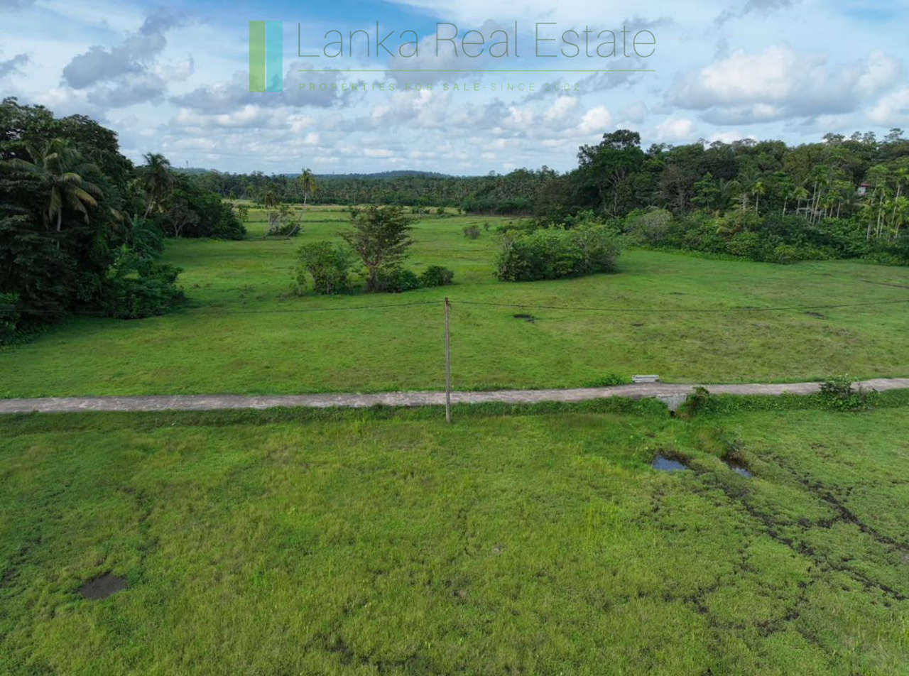 Three acre paddy-view Ahangama