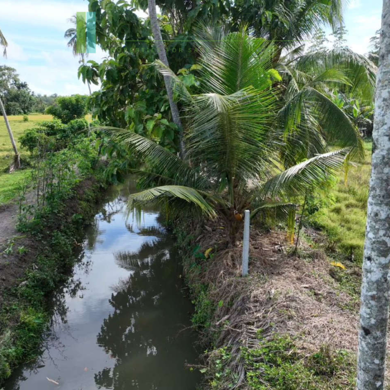 Three acre paddy-view Ahangama
