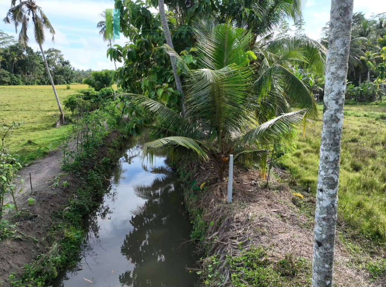 Three acre paddy-view Ahangama