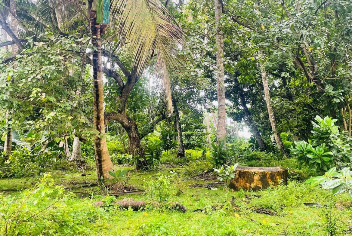 Prime beachfront opportunity in Talpe