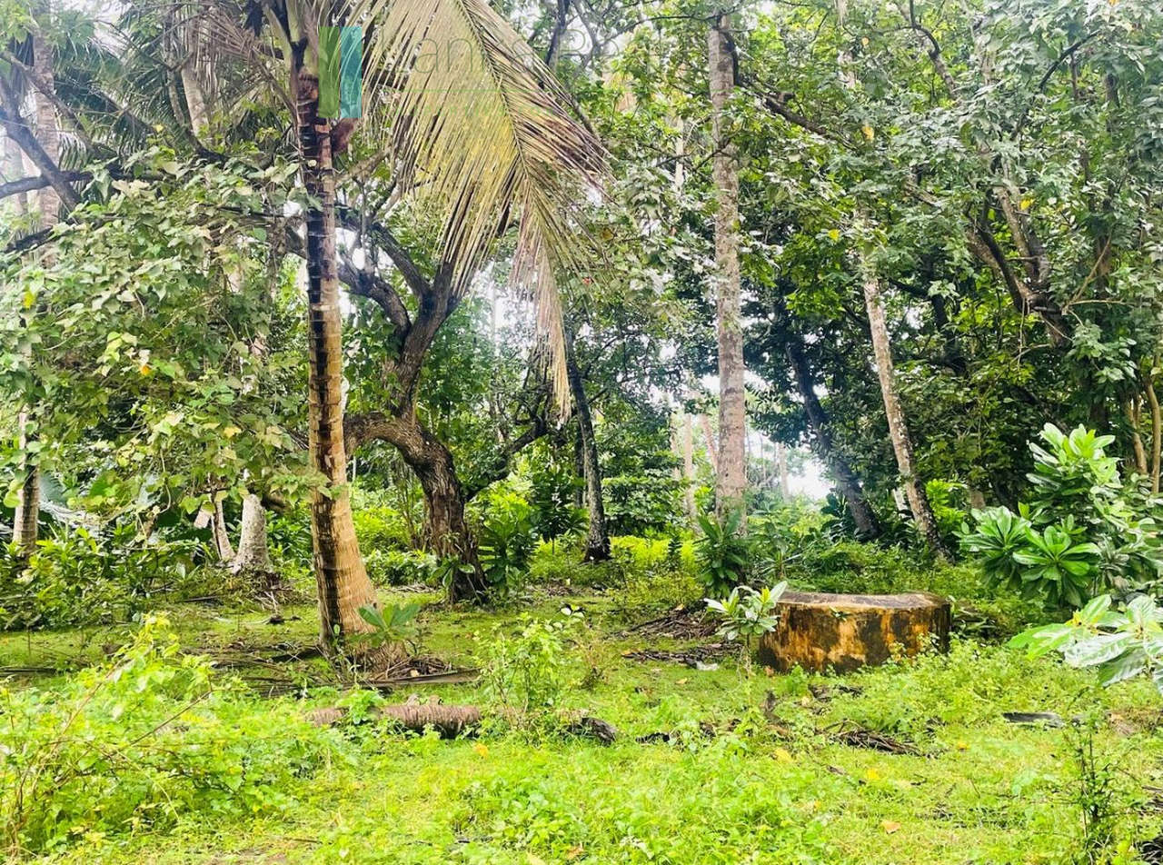 Prime beachfront opportunity in Talpe