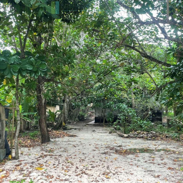 Fabulous Mirissa oceanfront on sandy beach