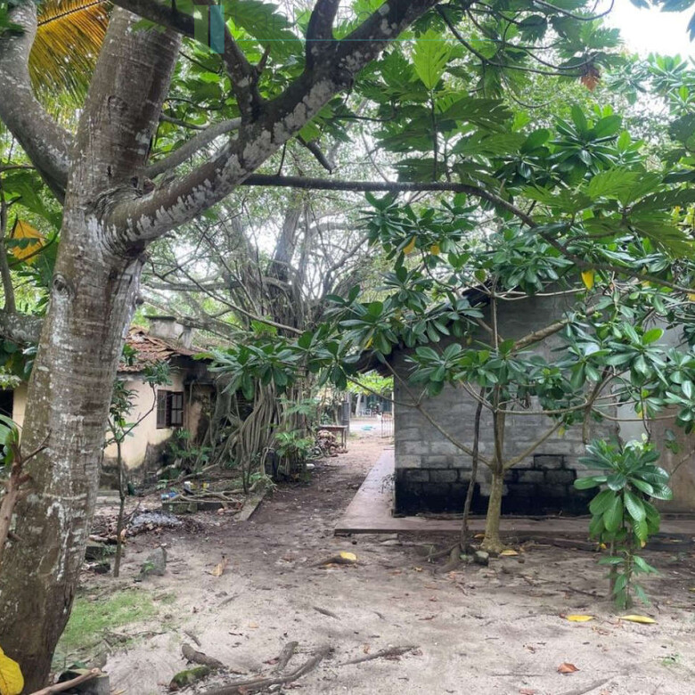 Fabulous Mirissa oceanfront on sandy beach