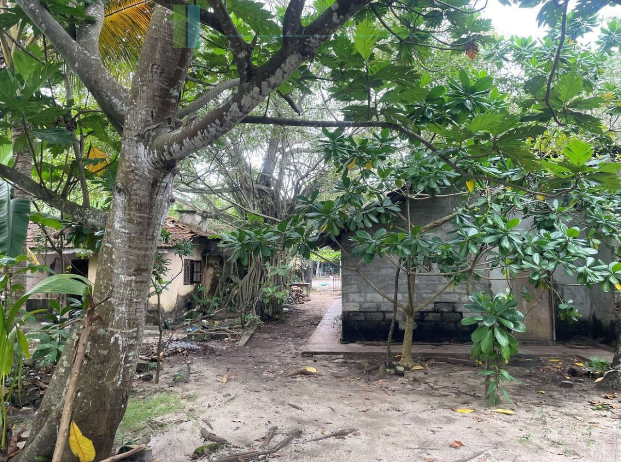 Fabulous Mirissa oceanfront on sandy beach