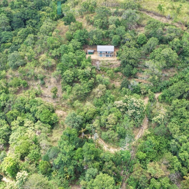 Stone built house on 10 acres in hill country