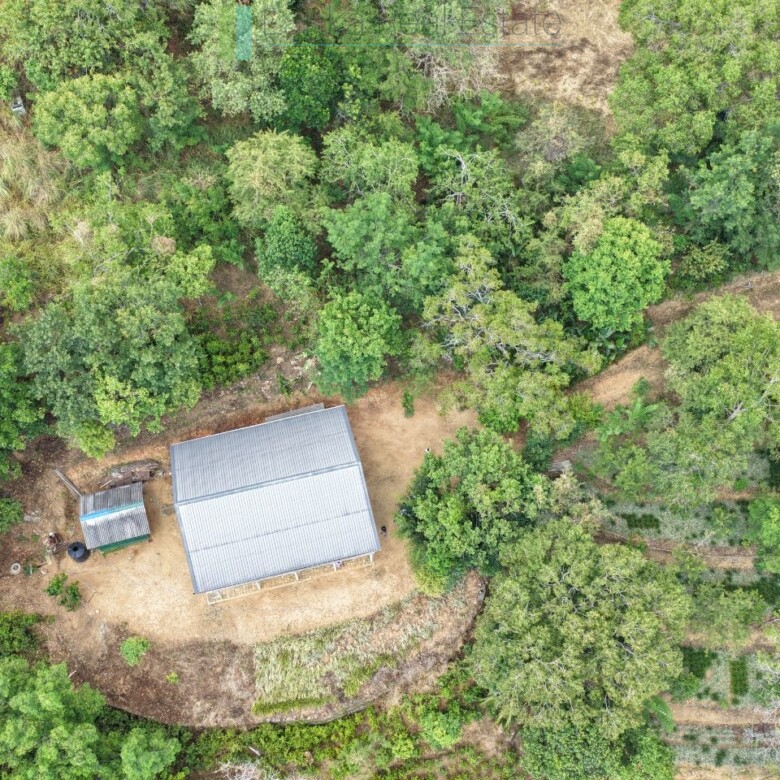 Stone built house on 10 acres in hill country
